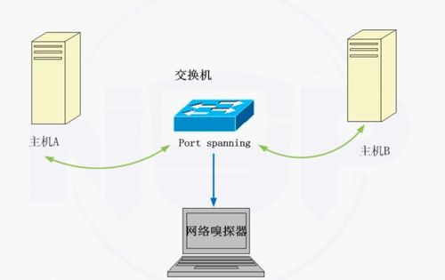 網絡安全防護技術與網絡技術開發 構建數字時代的防護屏障